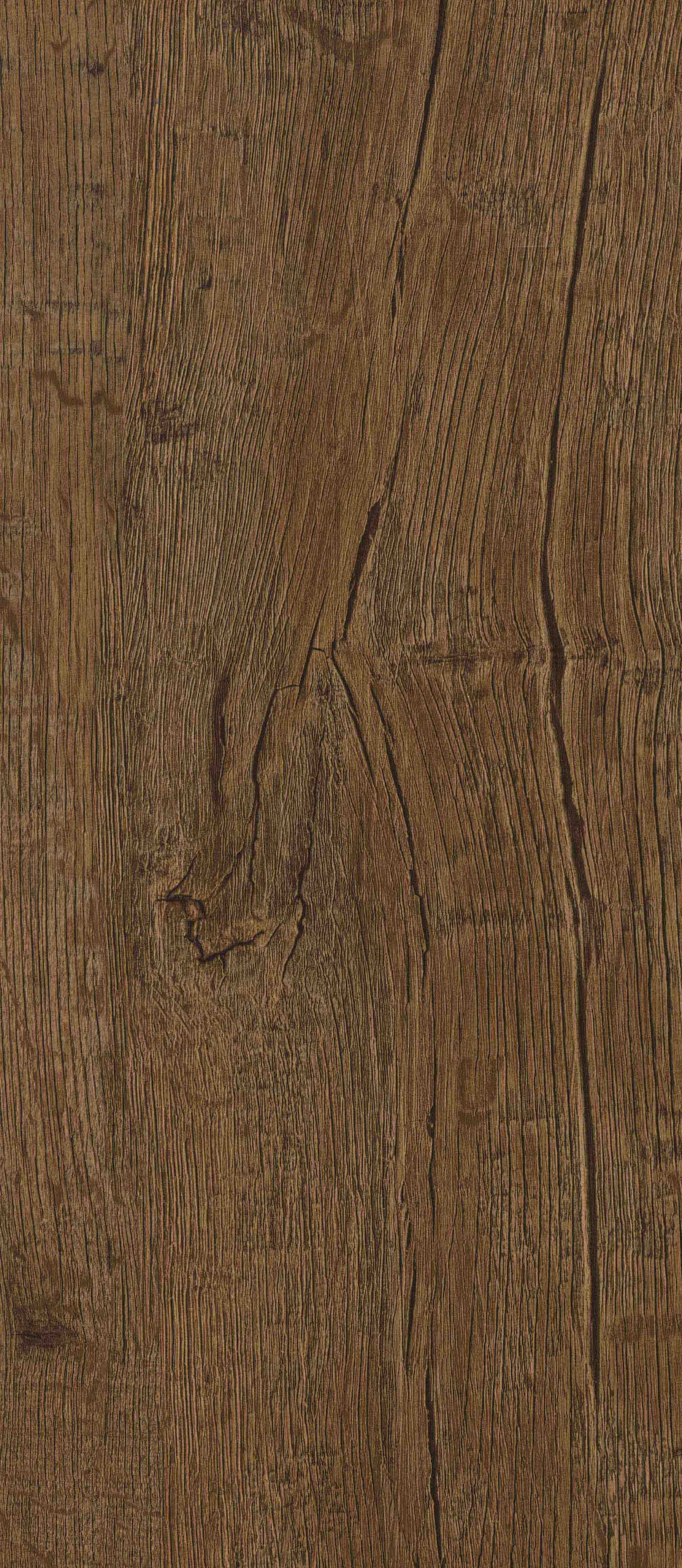 8222 ANTIQUE NUT TREE