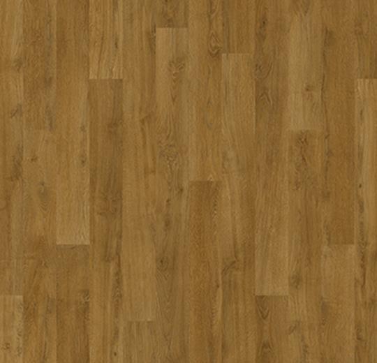 010033 English oak