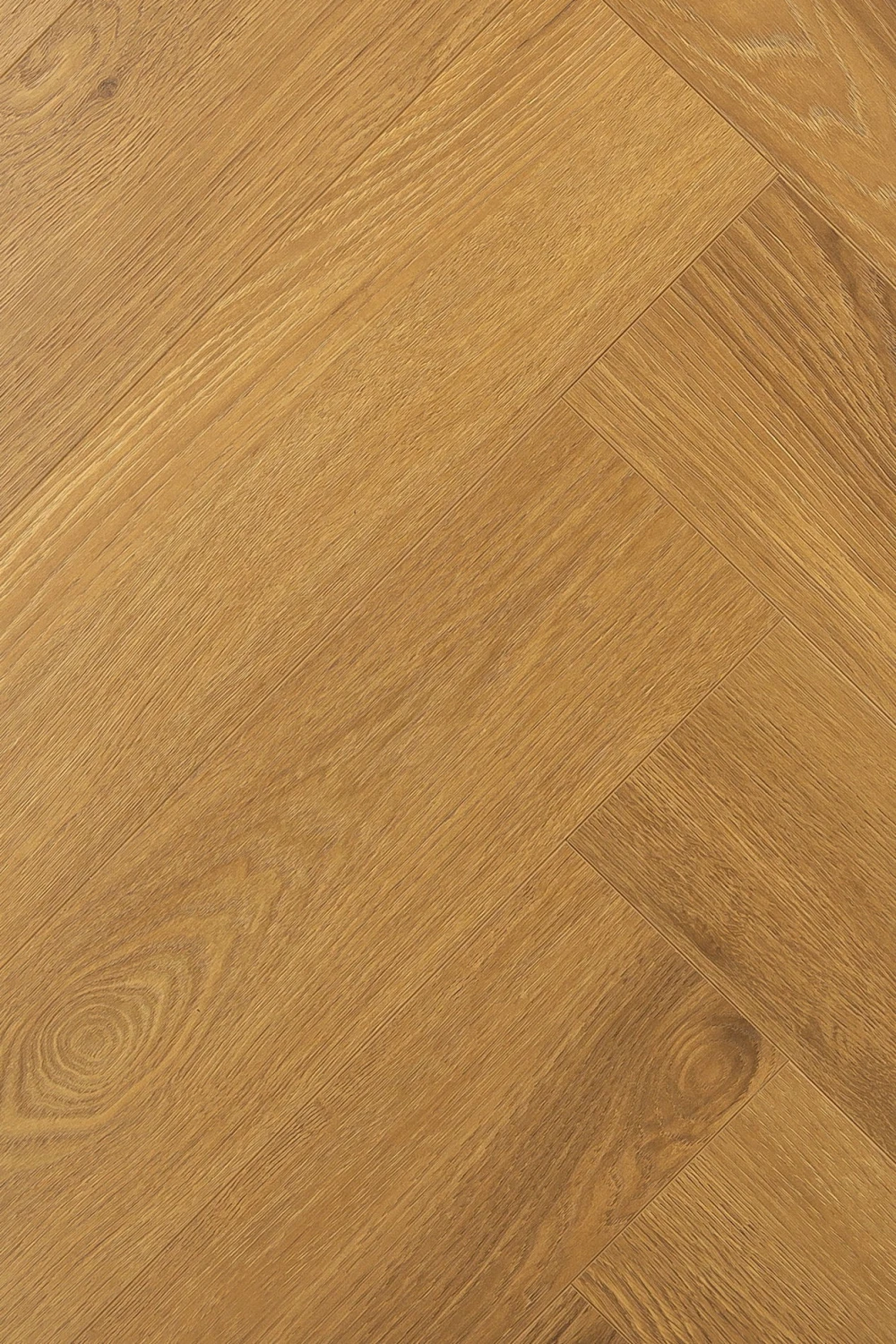 Дуб Апертус | Apertus oak 1F344