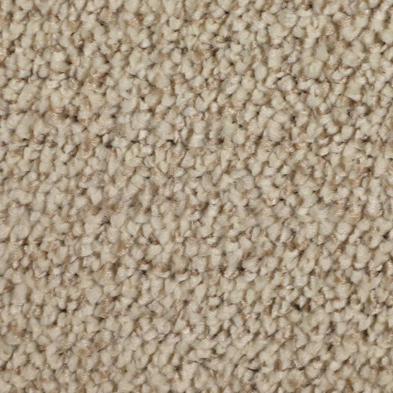 10231