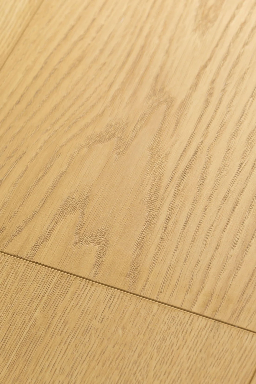 Дуб Пактум | Pactum oak 1F320
