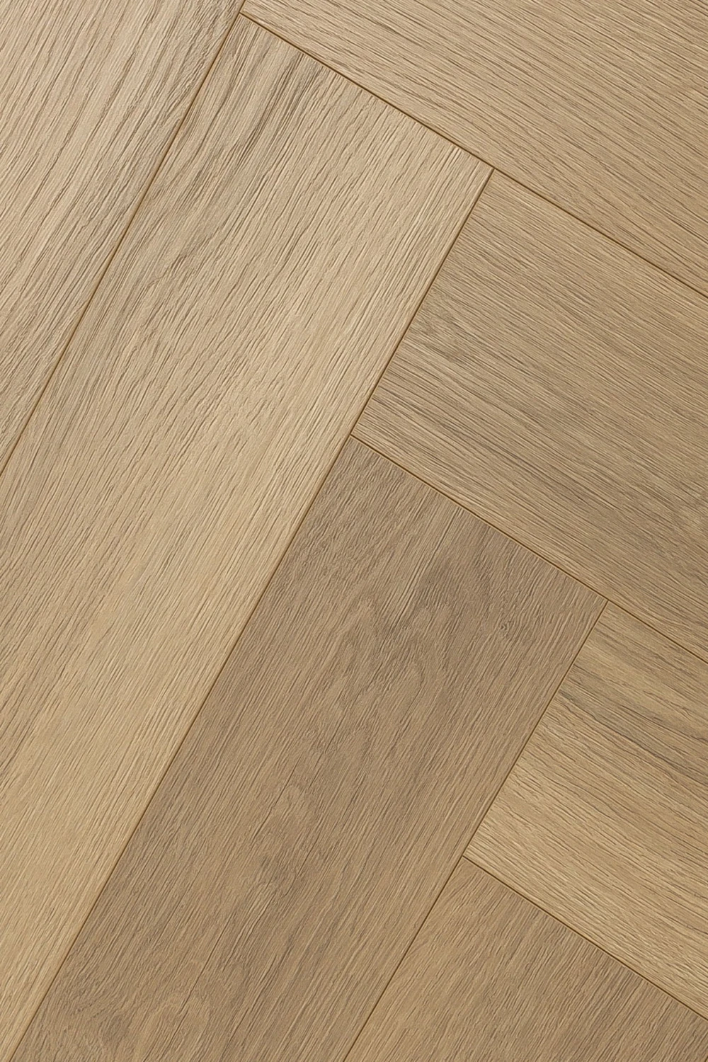 Дуб Констанция | Constanzo oak 1F335