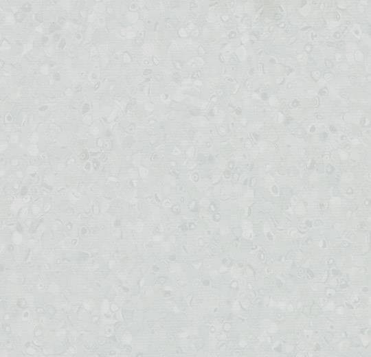 50007 grey sky