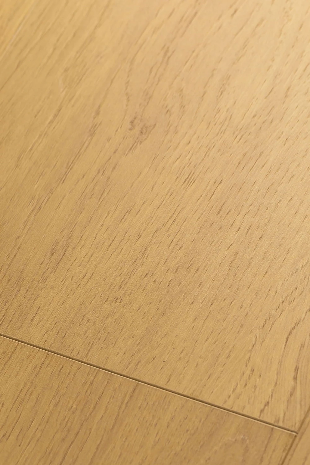 Дуб Эква | Equa oak 1F315