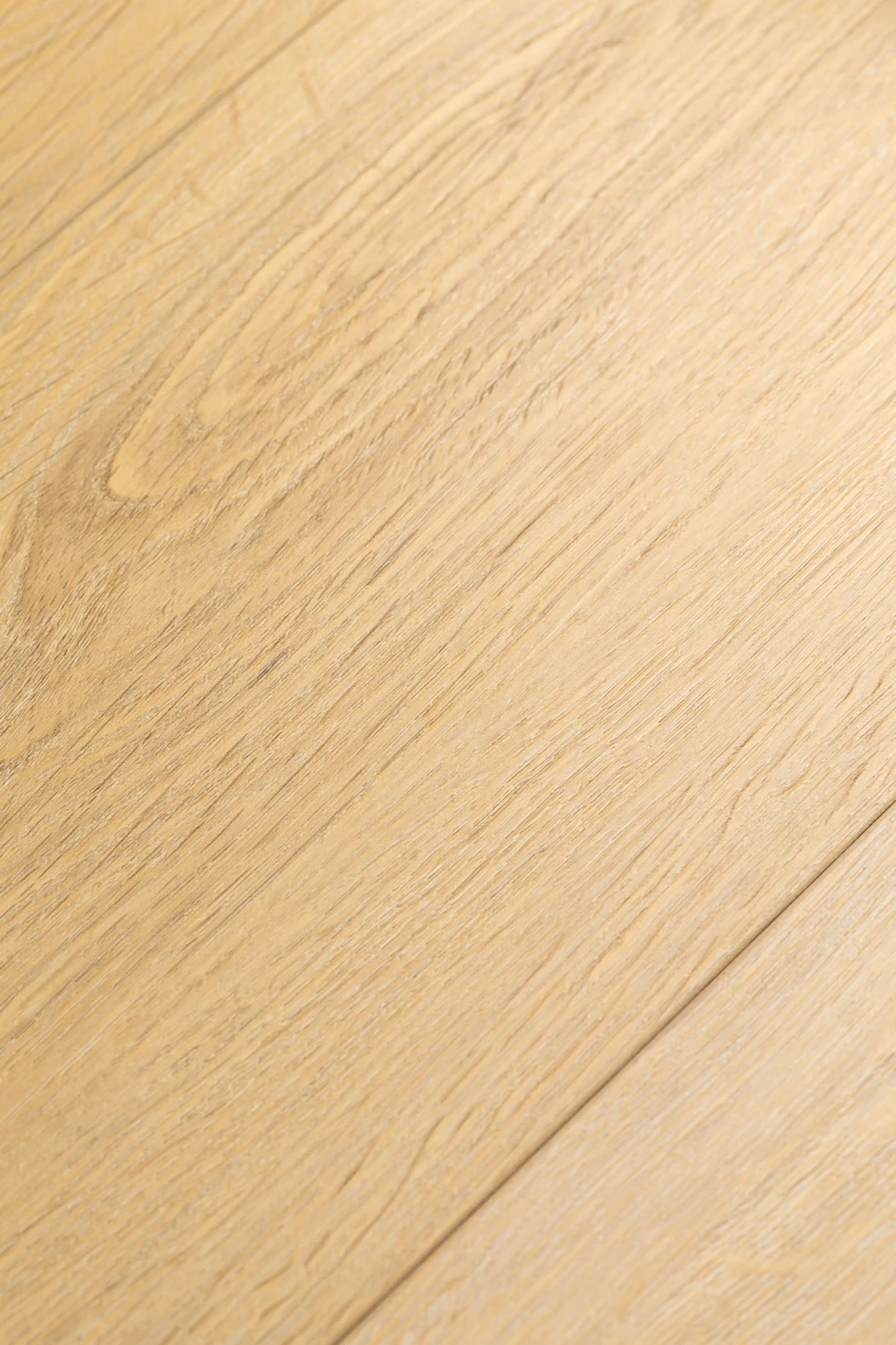 Дуб Ойкос | Oicos oak 1F412