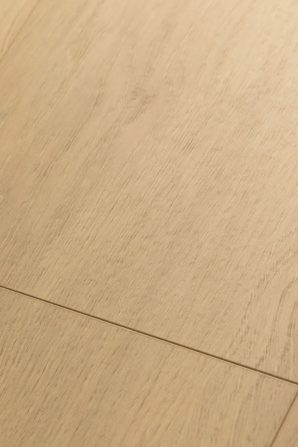 Дуб Файдес | Fides oak 1F318