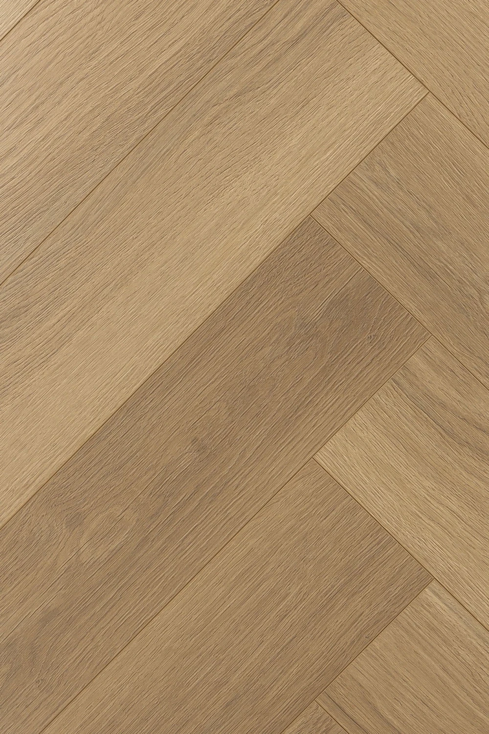Дуб Констанция | Constanzo oak 1F335