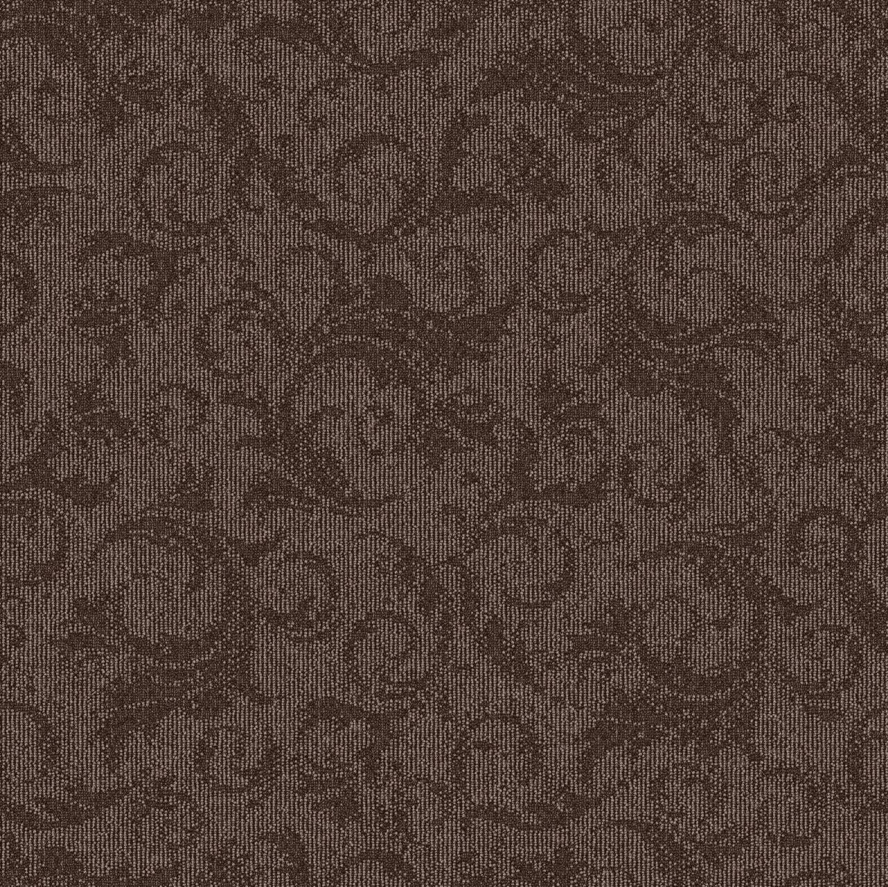 Brown 648297