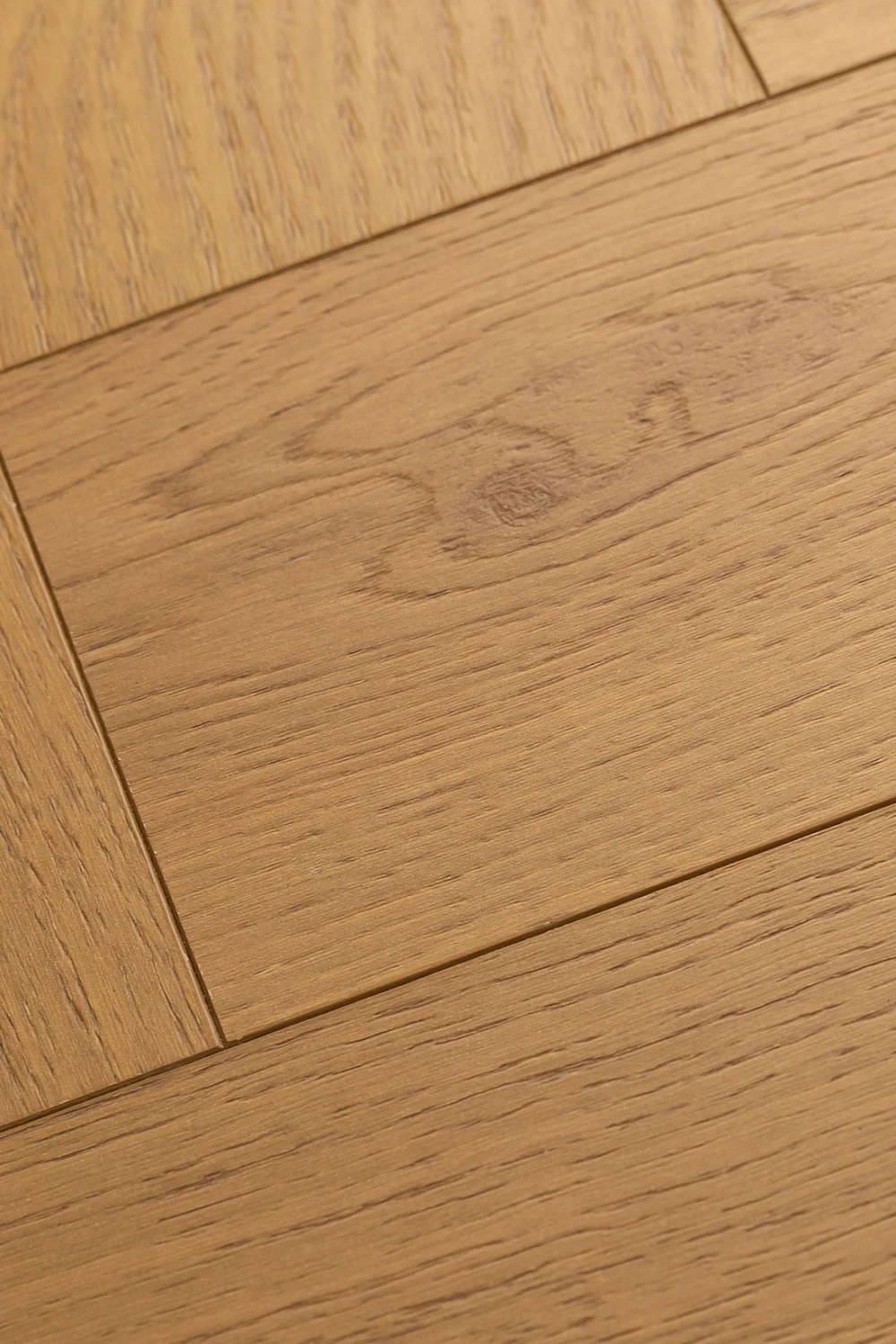 Дуб Джусто | Justo oak 1F339