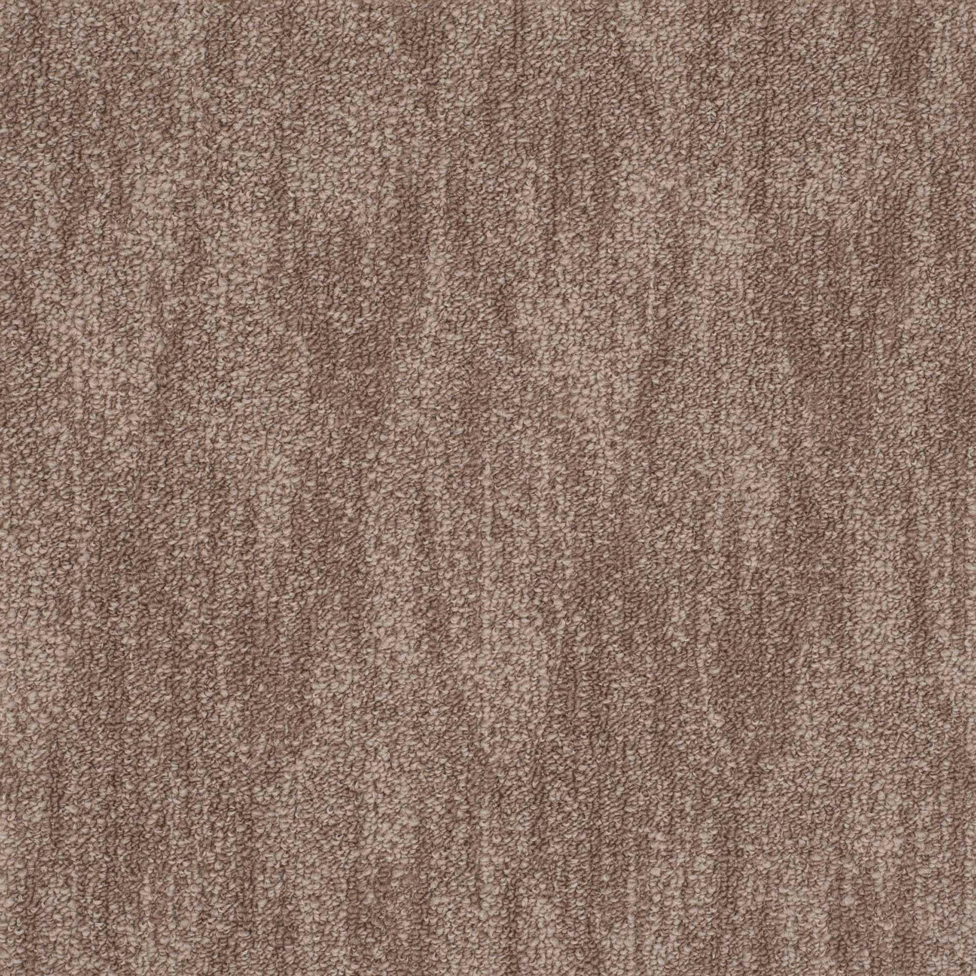 11344