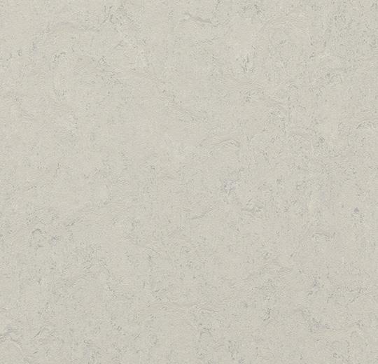 386035 silver shadow