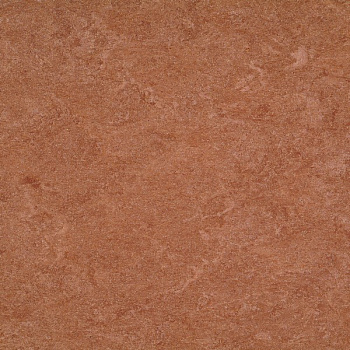 121-003 dark brown