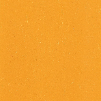 137-171 sunrise orange