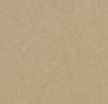 389035 oat