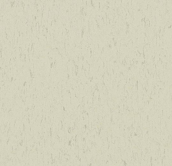 365035 polar bear