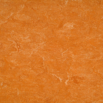 2121-073 spicy orange