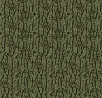 980603 Arbor moss