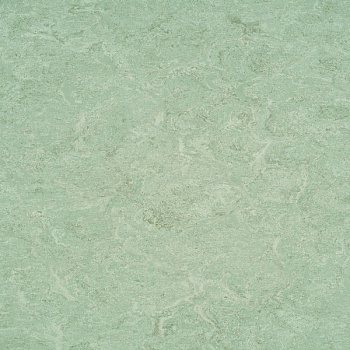 125-020 mild green